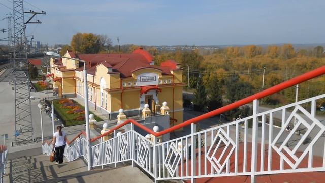 Техникум города Тогучина,Новосибирская область