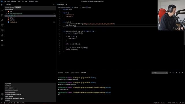 Golang Anfänger Übungen | Http Response Parsing смотреть онлайн