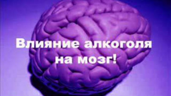 Влияние алкоголя на мозг