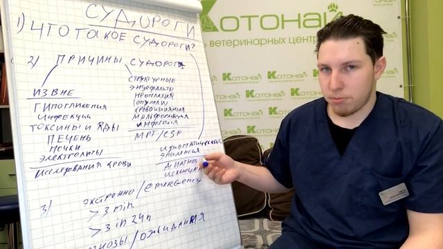 Судороги у собак и кошек. Что делать? смотреть онлайн