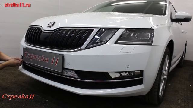 Защита радиатора SKODA OCTAVIA (A7) III рестайлинг с 2017г.в. (Хром) - strelka11.ru смотреть онлайн
