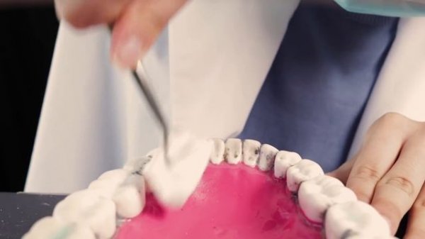 ASMR? Dentist Cleans Your Teeth!!