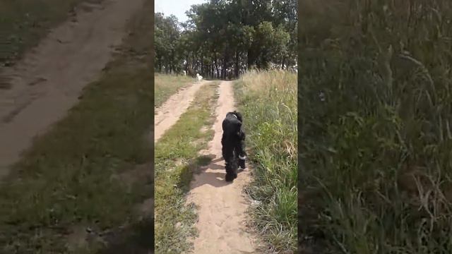 Рич, потеряшка в Нижнем Новгороде смотреть онлайн