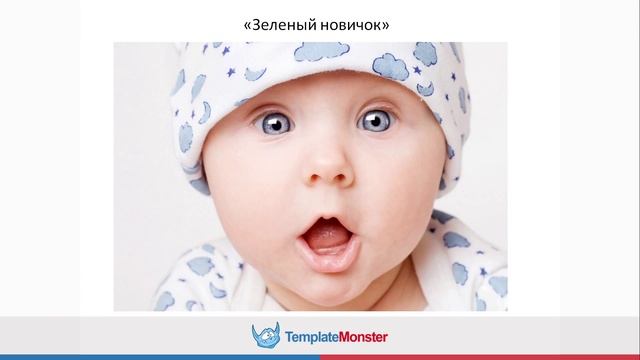 Как создать сайт самому? Практический вебинар от компании TemplateMonster смотреть онлайн