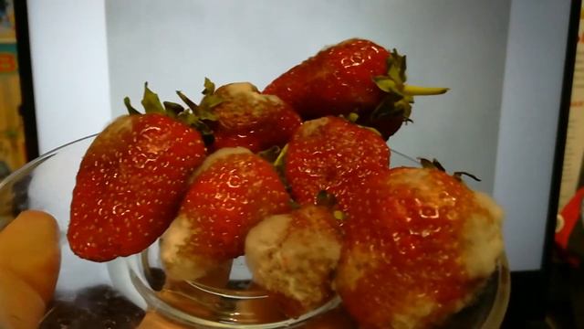 Клубника под микроскопом. смотреть онлайн