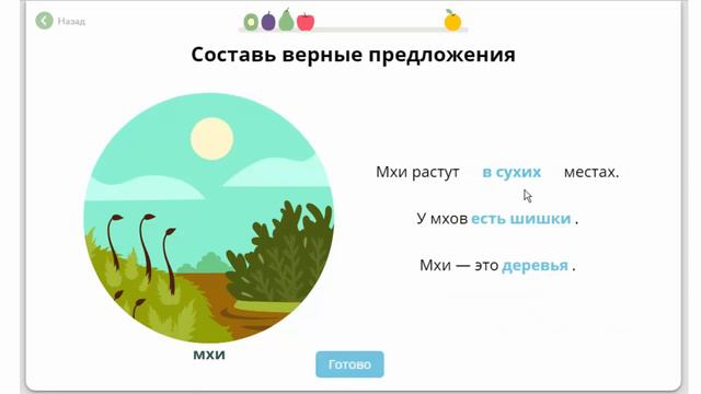 Мхи Окружающий мир смотреть онлайн