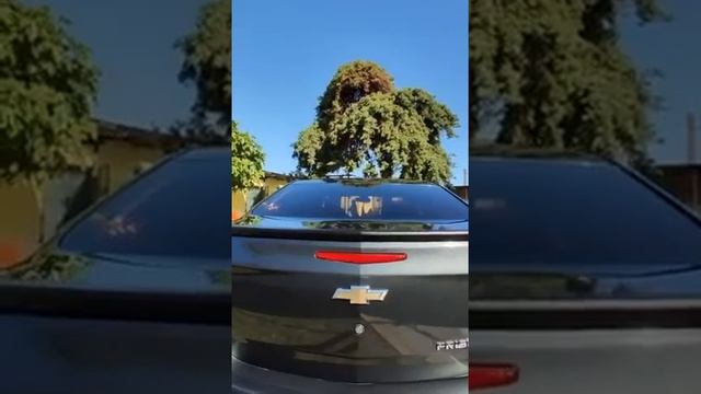 Accesorios CHEVROLET PRISMA 2014 / 2016 смотреть онлайн