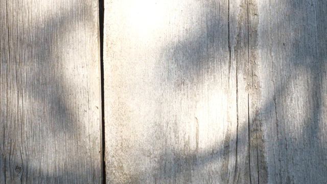 ПУГАЧЕВОЙ МОЖНО ВСЕ! - Кудрявцева разозлила россиян высказыванием о сбежавшей Примадонне смотреть онлайн