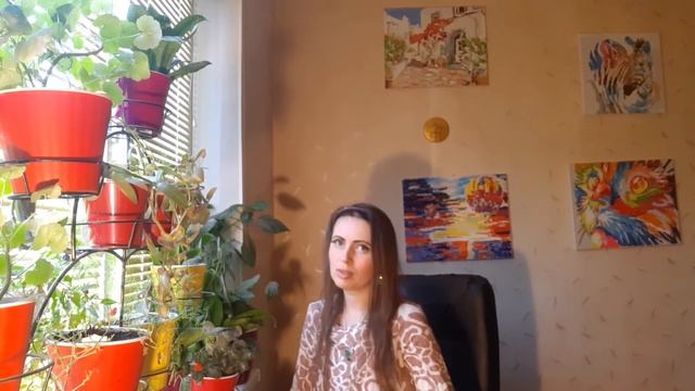 Фотосток Creativefabrica. Где можно продавать свои картинки в интернете? Обзор Poly смотреть онлайн