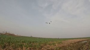 Гусятники Поймут 🐧🎯