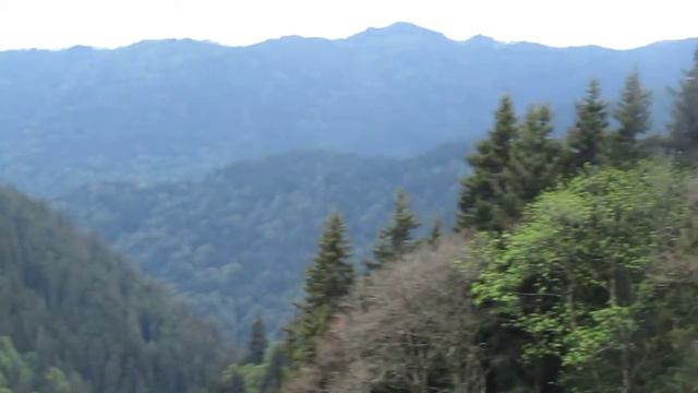 Виды супер виды смотреть онлайн