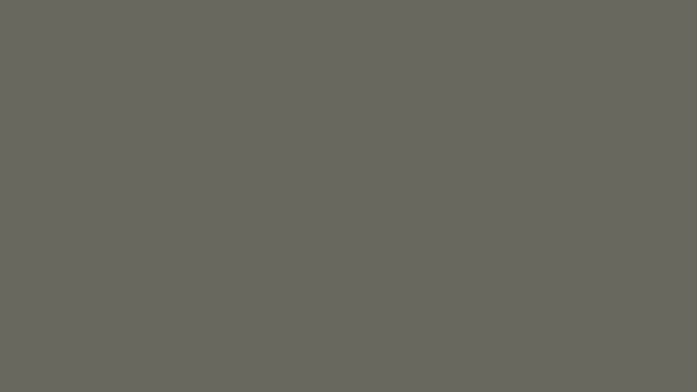 Quartz-gray Color #6C6960 HD Кварцевый серый цвет