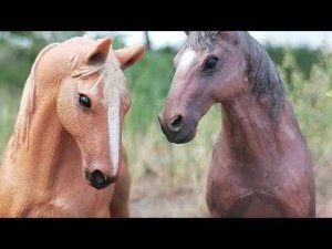 Сериал шляйх Любовь без границ серия 7 (Горький вкус предательства)