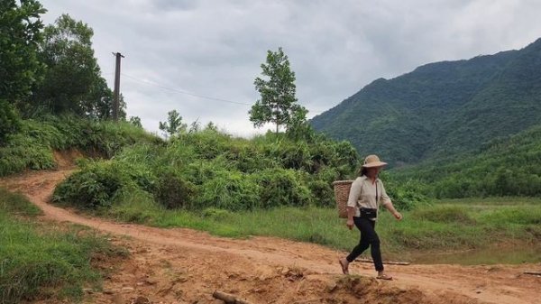 Hoeing the garden to plant cabbage, harvesting ginger to sell at the market...