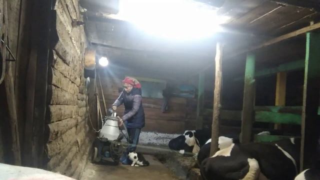 Началось в деревне утро😁 смотреть онлайн