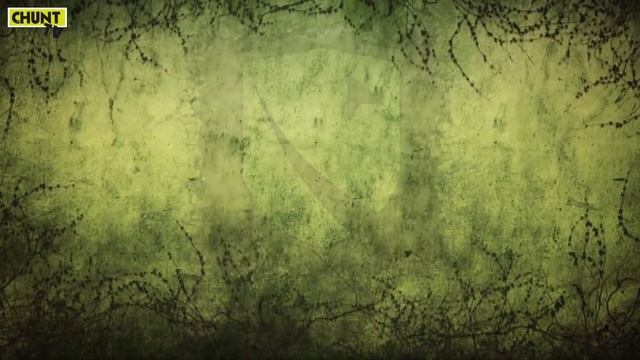 REVIEW - The Order of the Thorne - The King's Challenge смотреть онлайн