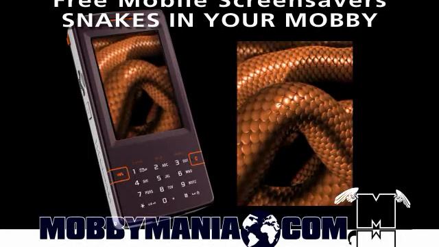 Snakes in your Mobby 240x320- Free Mobile Phone Screensavers and Wallpapers смотреть онлайн
