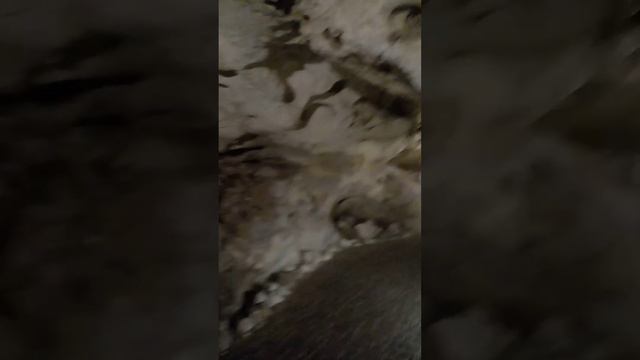 Я первый раз был на в пещере Тавриде, п. Зуя, Крым смотреть онлайн