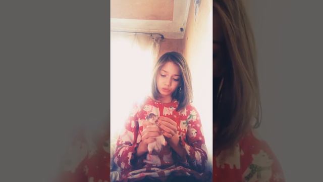 что надо знать перед тем как заведешь хомяка смотреть онлайн