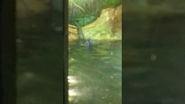 10 июля 2023 г. смотреть онлайн