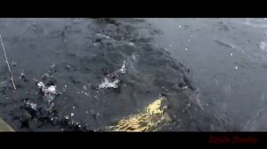 Ловля щуки на кружки в Тверской области