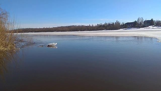 река Луза Апрель 2023 г смотреть онлайн