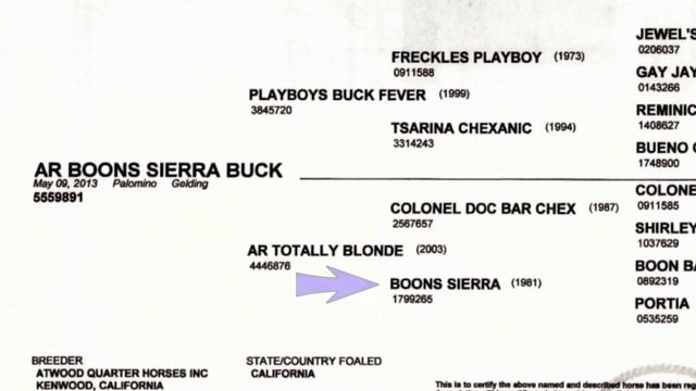 2015 Road to the Summit - Carter смотреть онлайн