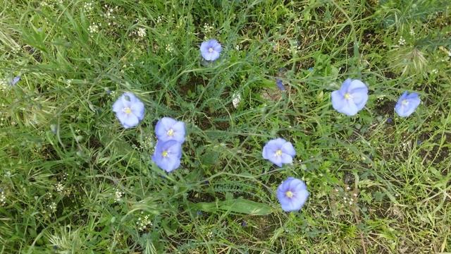 Христианские псалмы 3 2023 11 12 15 35 49 смотреть онлайн