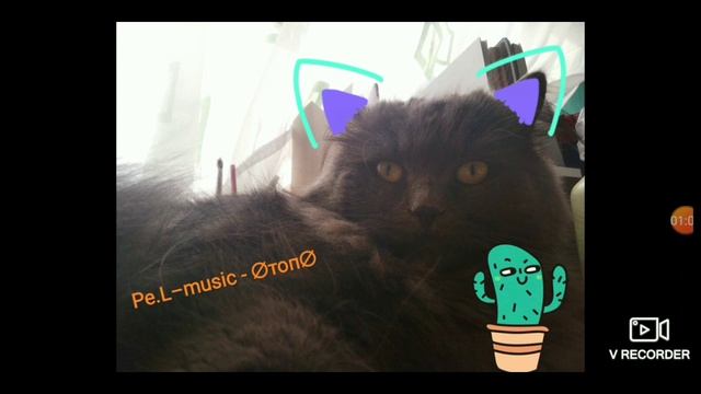 Pe.L–music - ∅топ∅ смотреть онлайн