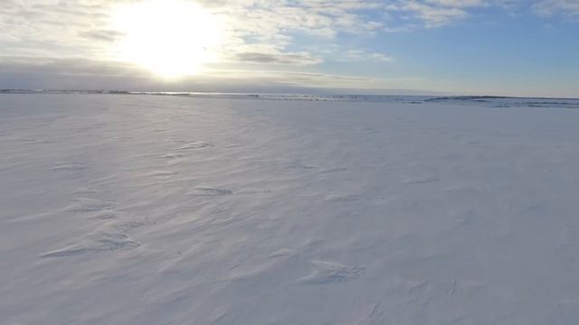 За лисой на квадрике смотреть онлайн