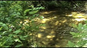 ФУТАЖ  РУЧЕЙ.ФУТАЖИ И  ФОНЫ ДЛЯ  ВИДЕОМОНТАЖА.футажи для видеомонтажа hd