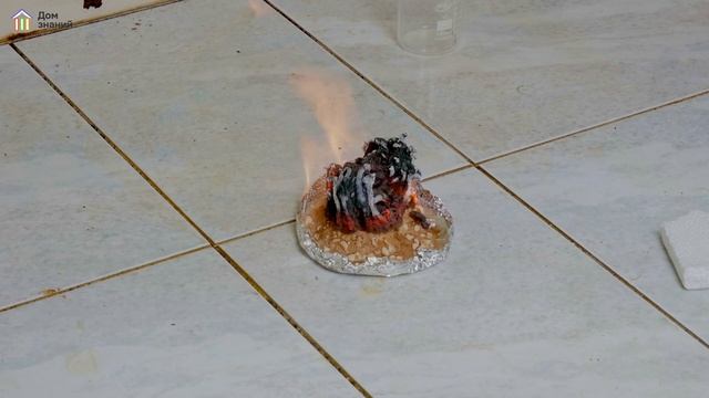 ДЕЛАЕМ ПЕПЕЛЬНОЕ ДЕРЕВО | ДОМ ЗНАНИЙ| #домзнаний #онлайншкола