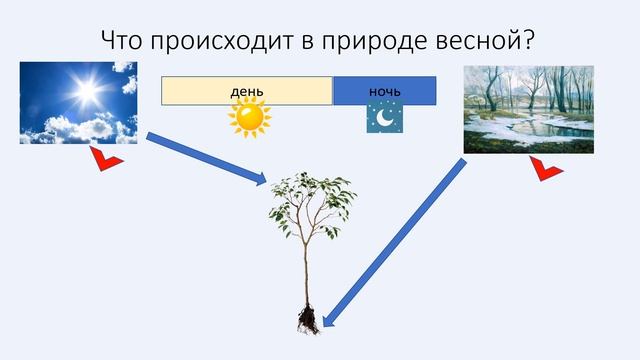 Растения весной.Развивающее видео для детей. смотреть онлайн