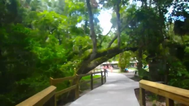 АМЕРИКА РАЙ НА ЗЕМЛЕ дикая Флорида Blue Springs FloridaYalta  12.06.2015