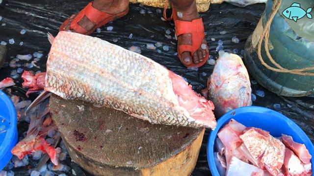 Huge Indian Salmon Fish Cutting & Chopping Into Pieces, Amazing Big Fish Cutting Video смотреть онлайн