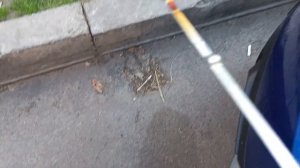 РЕНО ДАСТЕР УРОВЕНЬ ПОСЛЕ ЗАМЕНЫ МАСЛА!!!