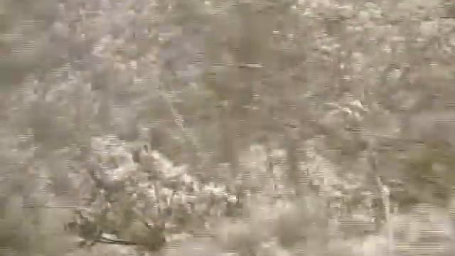 Baby's Breath смотреть онлайн