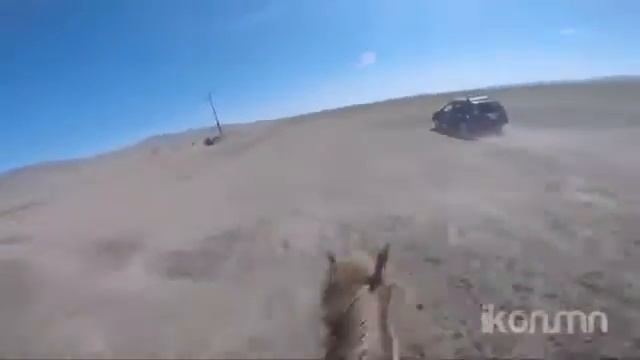 Национальные скачки на лошадях в Монголии. Праздник Надом смотреть онлайн