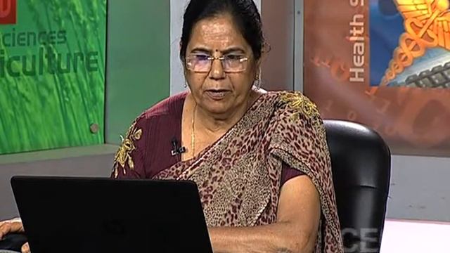 Income and Cross Elasticity of Demand смотреть онлайн