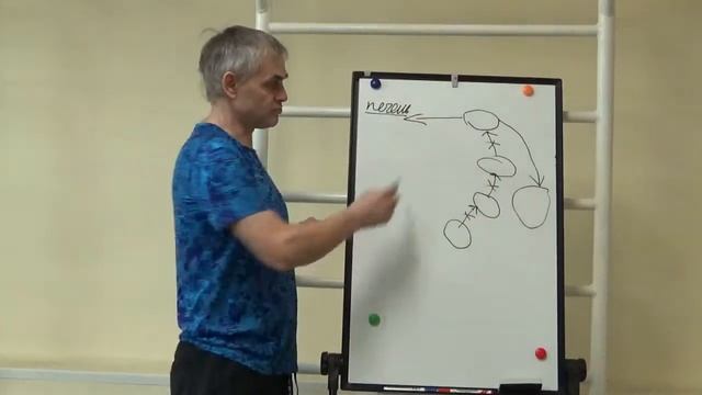 Лекция 6. Обмен веществ смотреть онлайн