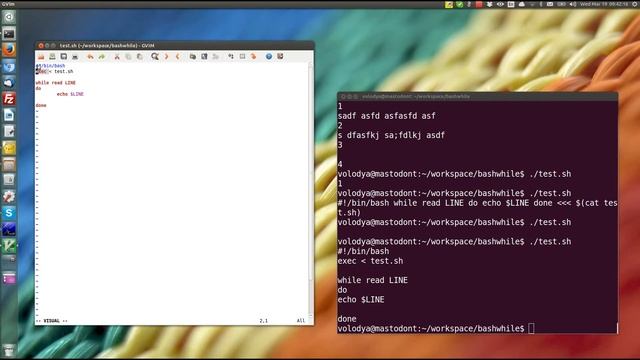 Что могут циклы while и until в bash скриптах смотреть онлайн