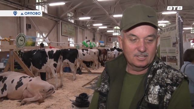 Лайфхаки для Красоты и Здоровья