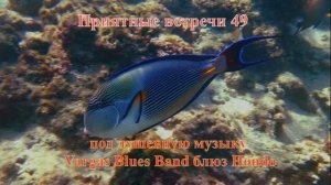 Приятные встречи 49 Хирург Аравийский сохал под душевную музыку Vargas Blues Band Блюз Hondo
