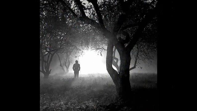 заблудился в ночи смотреть онлайн