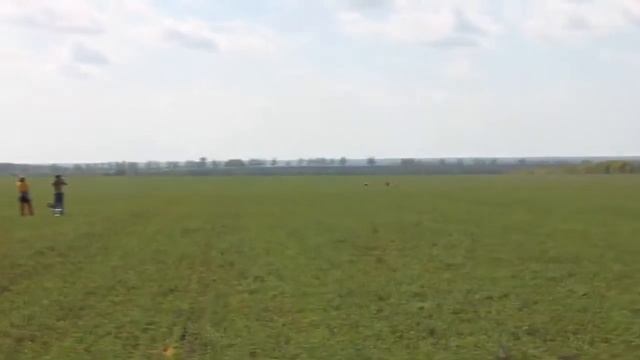 Преследование дичи борзыми, охота с борзыми. Курсинг борзой. смотреть онлайн