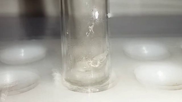 Реакция МАГНИЯ и АЗОТНОЙ КИСЛОТЫ. Опыты по химии. Эксперименты дома. Nitric Acidi Magnium. Mg(NO3)2