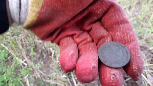 Летний поиск, архив 2019 год смотреть онлайн