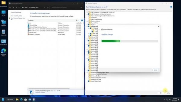 How to enable localhost Server on Windows 11 | Setup localhost IIS on Windows 11 22H2