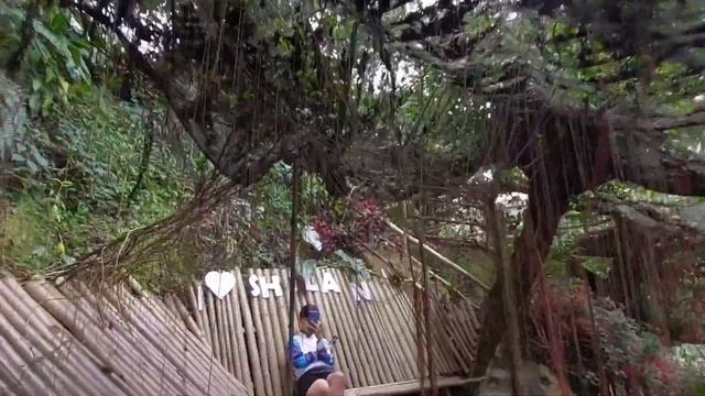 Garden Nen Ines | Shilan La Trinidad Benguet | Garden | Anthurium Plants смотреть онлайн