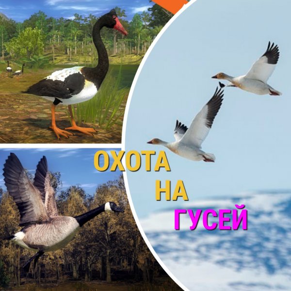 The Hunter classic(охота на гусей)